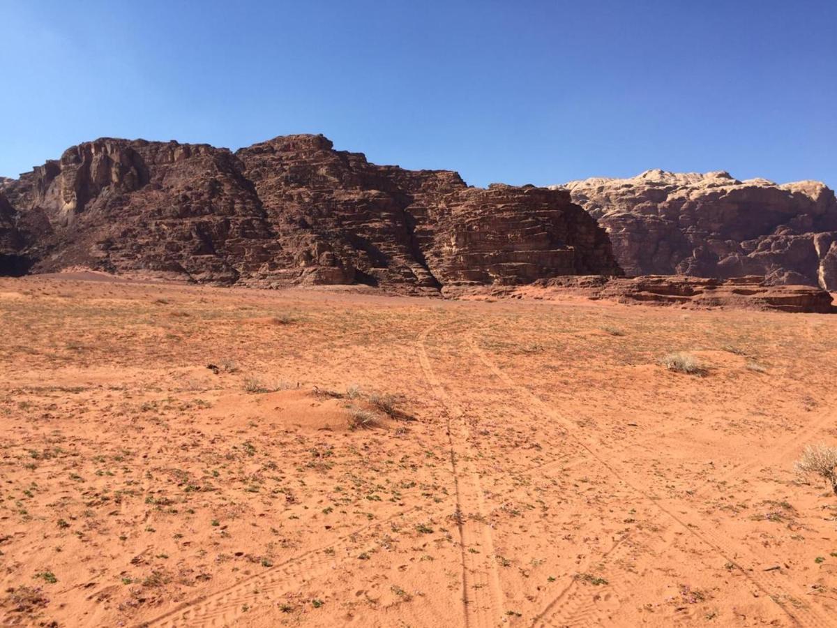 Wadi Rum Bedouin Experience Zewnętrze zdjęcie
