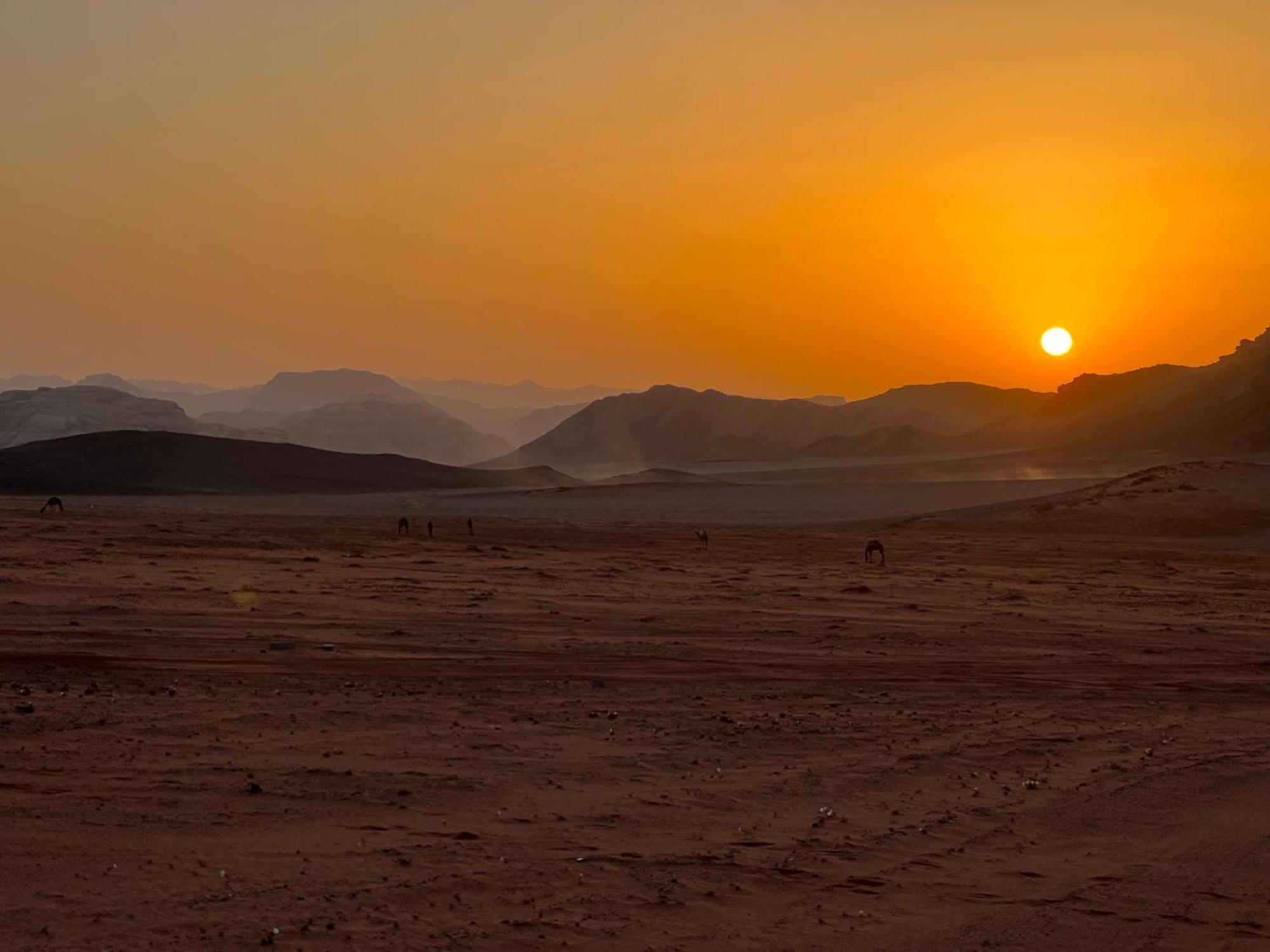 Wadi Rum Bedouin Experience Zewnętrze zdjęcie