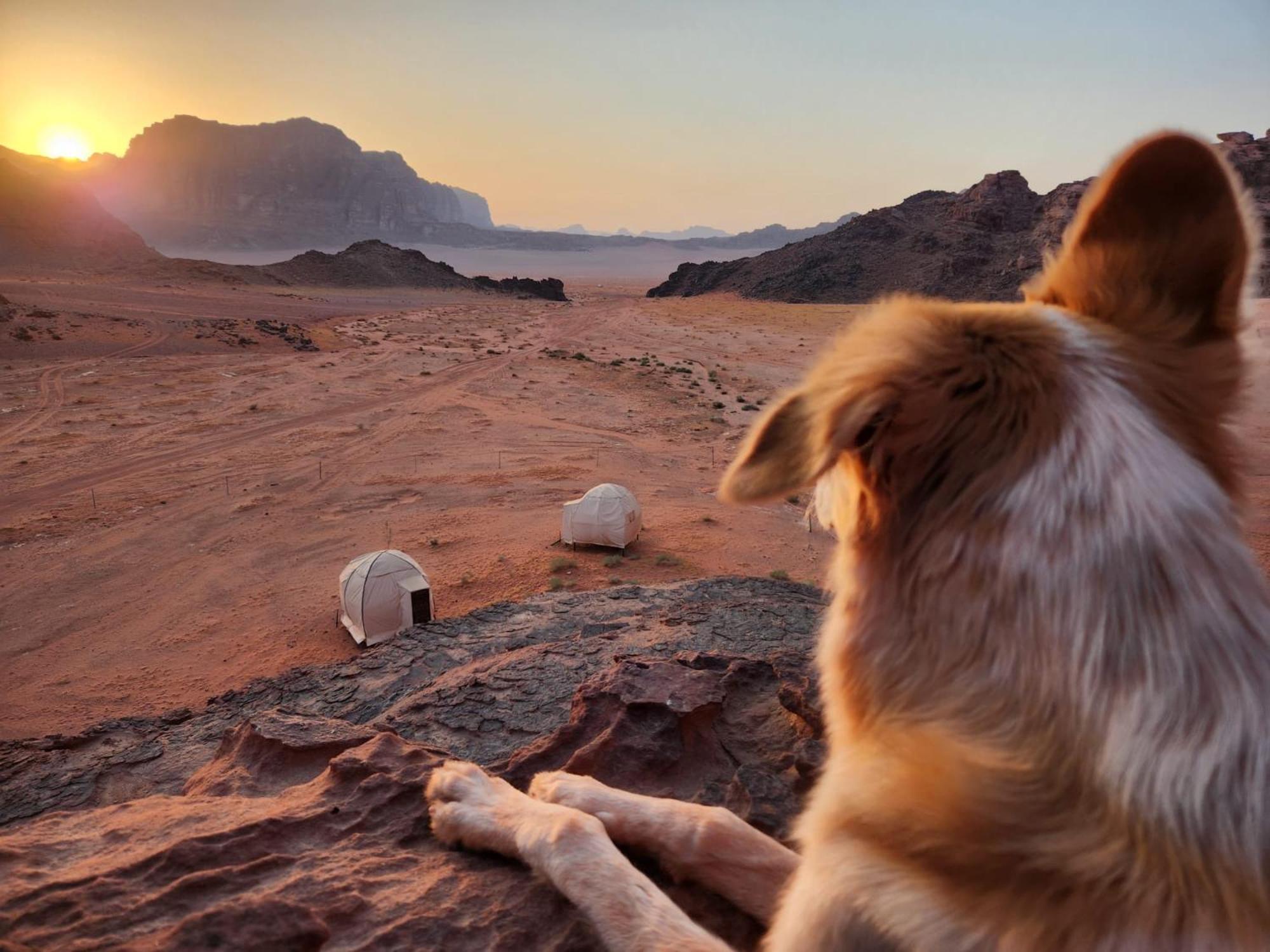 Wadi Rum Bedouin Experience Zewnętrze zdjęcie