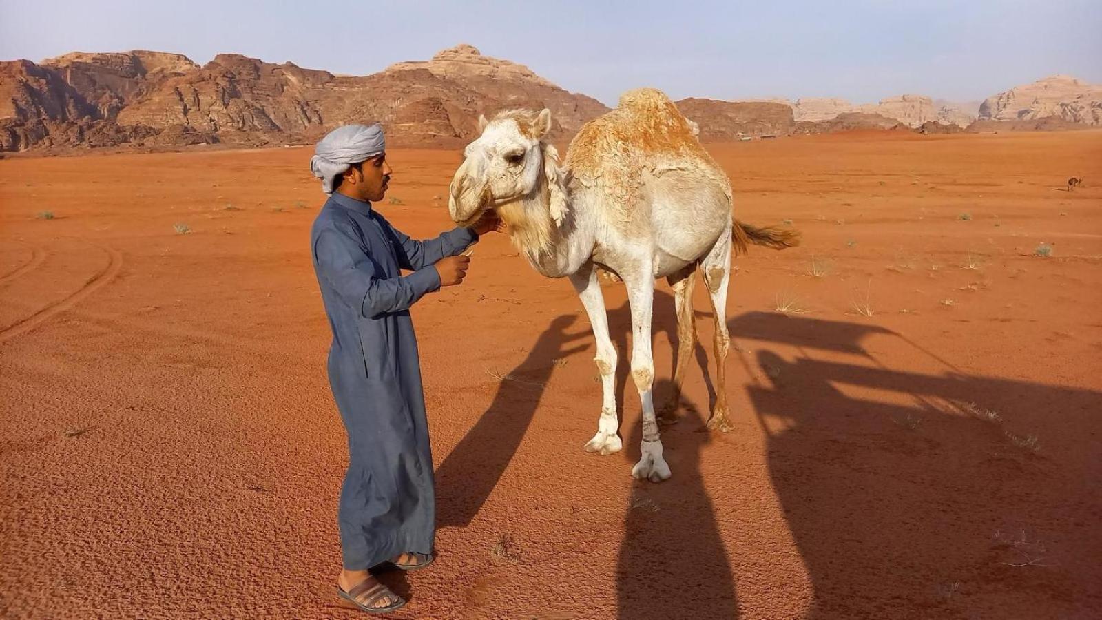 Wadi Rum Bedouin Experience Zewnętrze zdjęcie